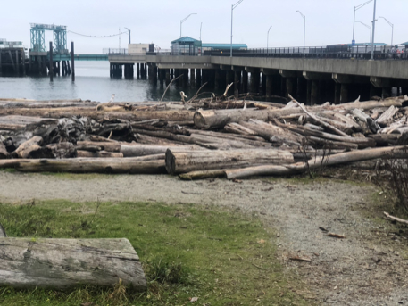 Clinton Beach Park Log Obstacles